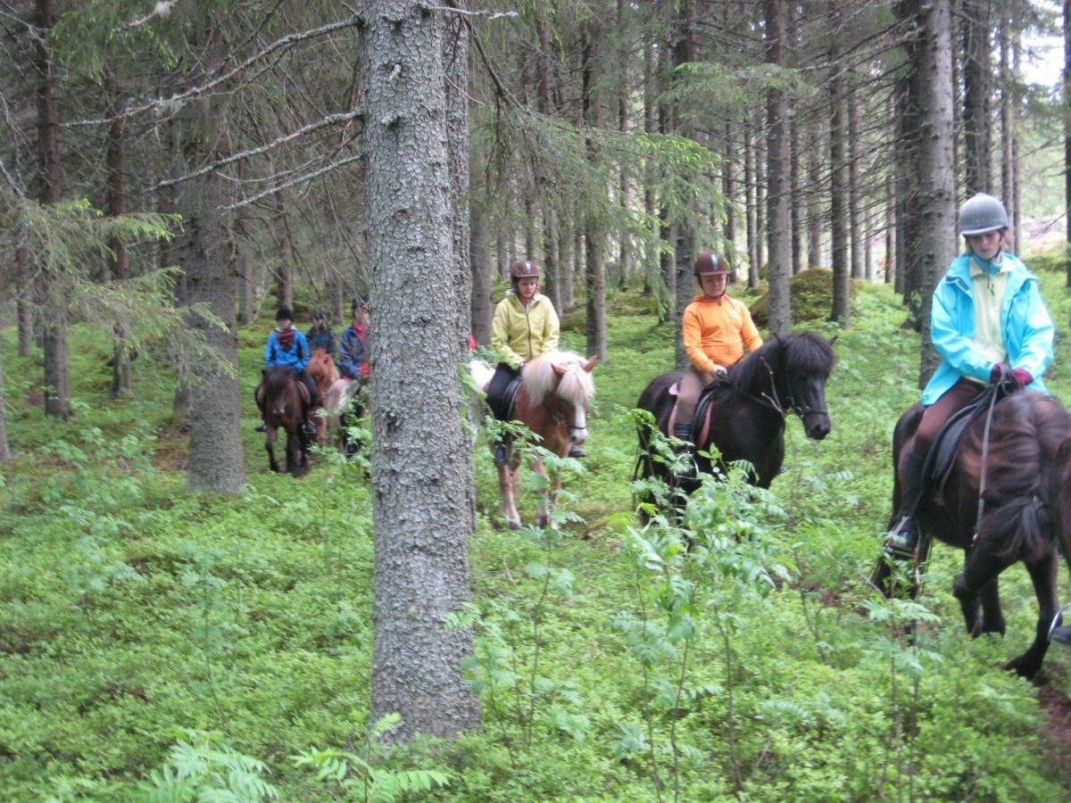 Paimentupa Villa Kolinkylä Eksteriør bilde