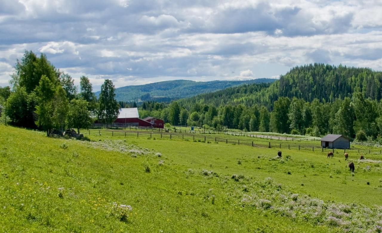 Paimentupa Villa Kolinkylä Rom bilde